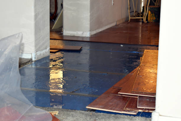 Professional Burst Pipe Cleanup technician working in Cullman, AL